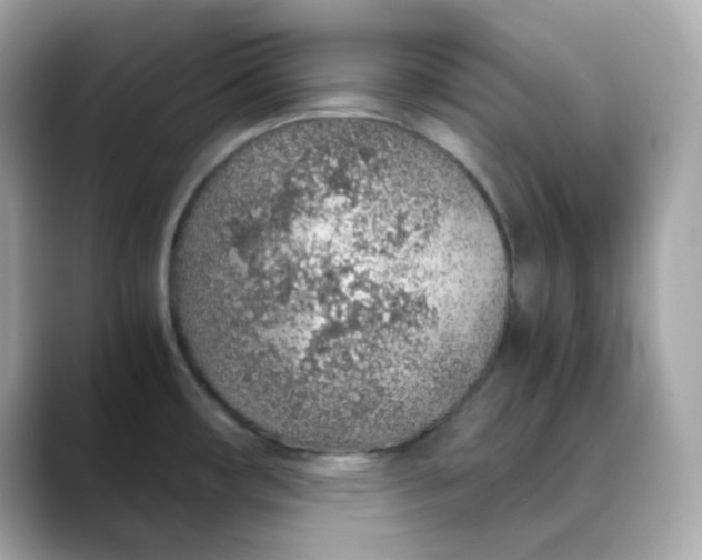 X0000088441482200706051239