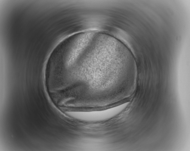 X0000088441483200706051239