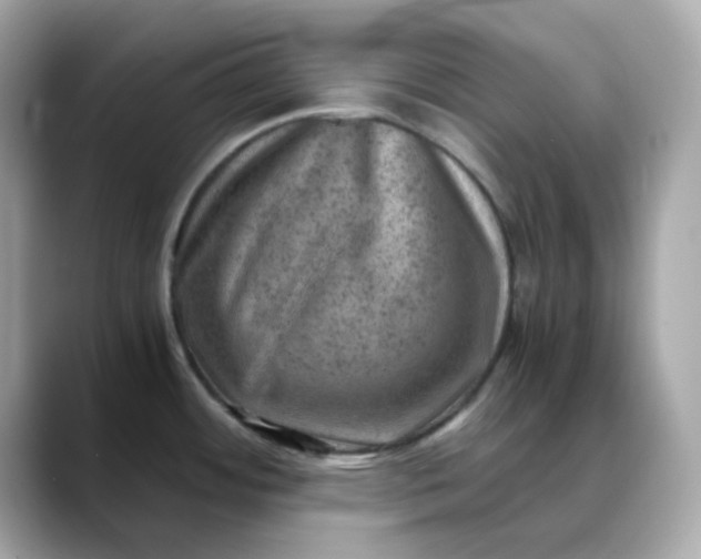 X0000088441484200706051239