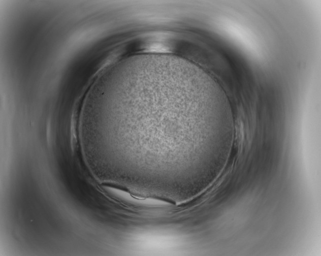 X0000088441487200706051239