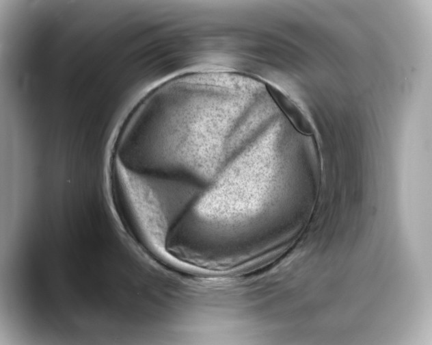 X0000088441488200706051239