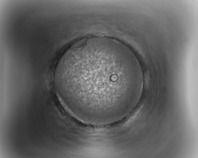 X0000088441494200706051239