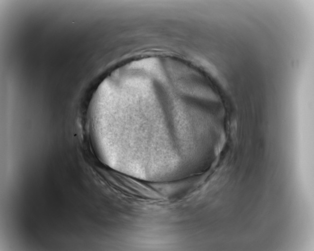 X0000088441496200706051239