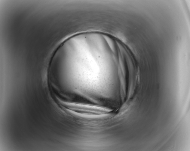 X0000088441500200706051239