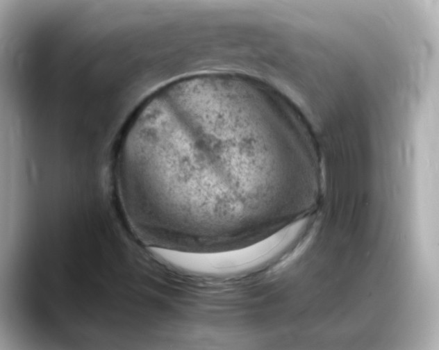 X0000088441501200706051239