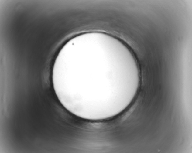 X0000088441502200706051239