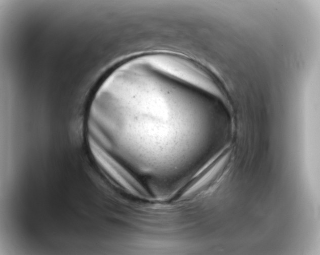 X0000088441503200706051239