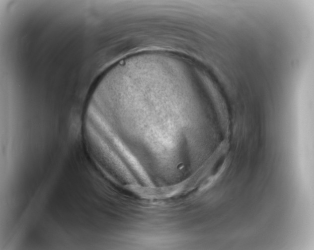 X0000088441505200706051239