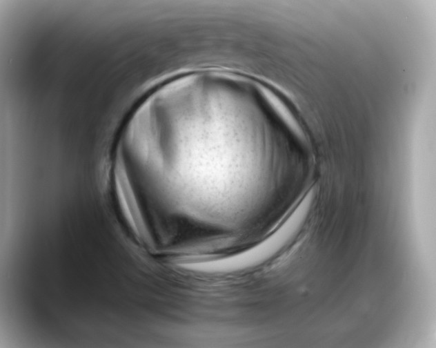 X0000088441507200706051239