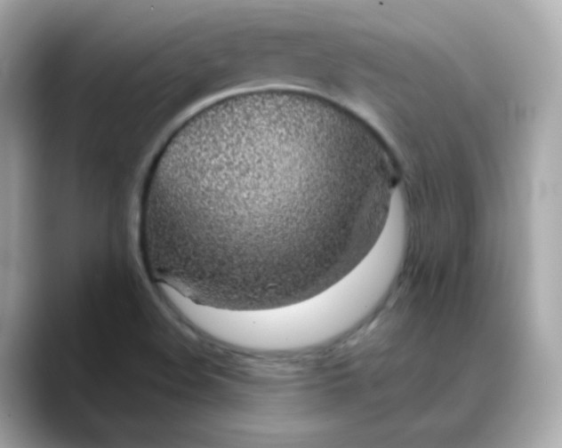 X0000088441508200706051239