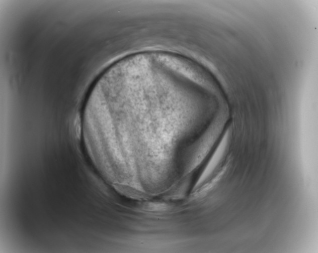 X0000088441509200706051239
