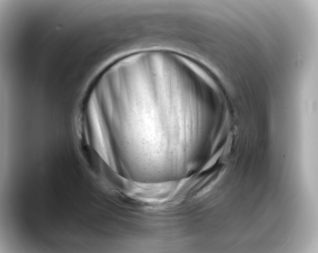 X0000088441510200706051239