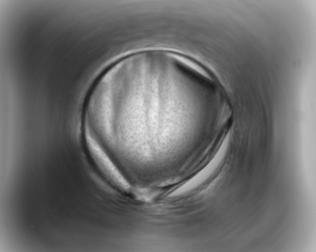X0000088441511200706051239