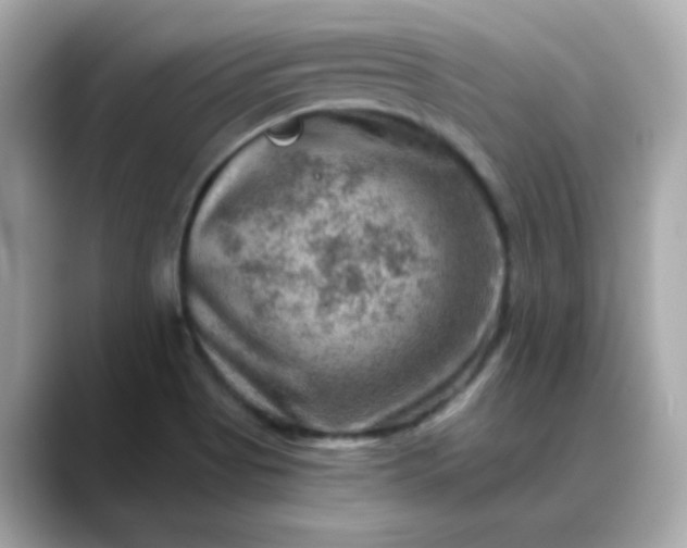 X0000088441513200706051239