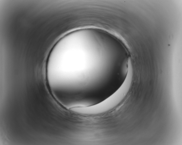 X0000088441516200706051239