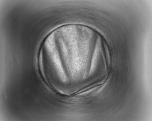 X0000088441517200706051239