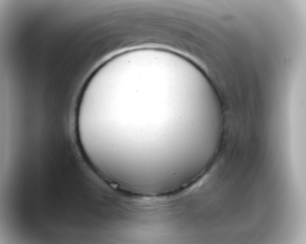 X0000088441518200706051239