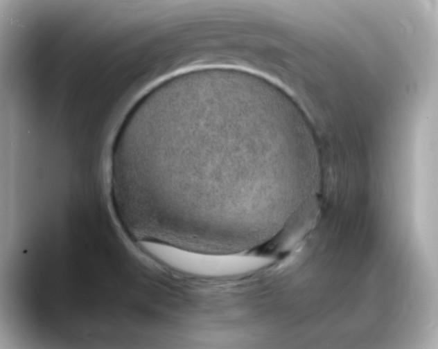 X0000088441519200706051239
