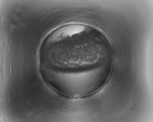 X0000088441522200706051239