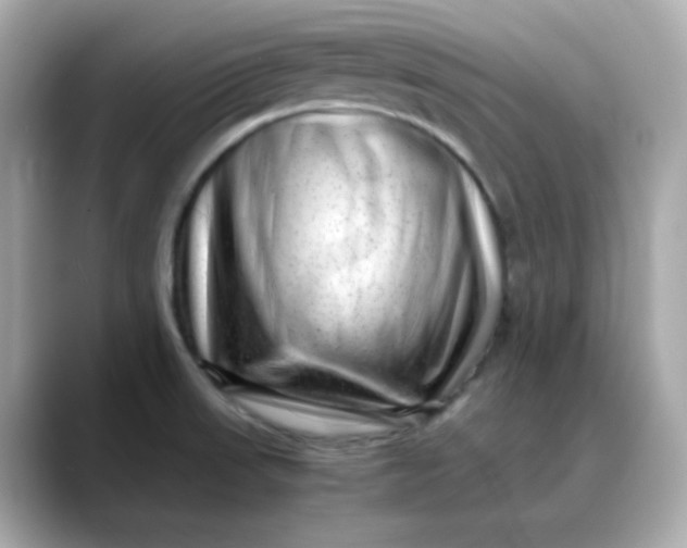 X0000088441523200706051239