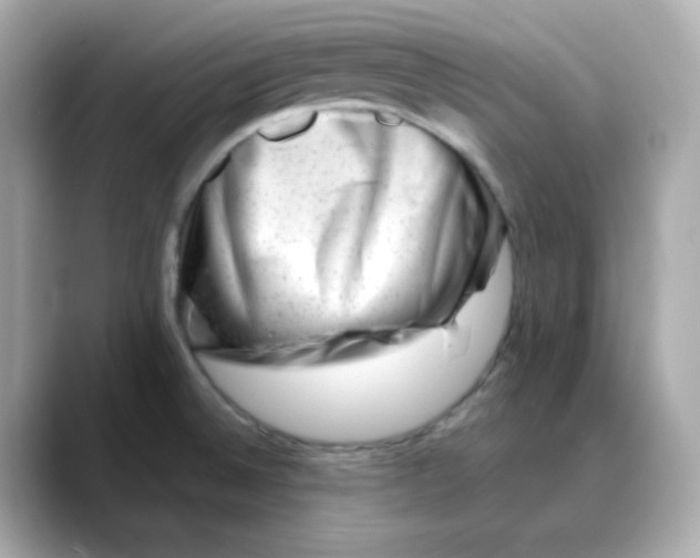 X0000088441524200706051239