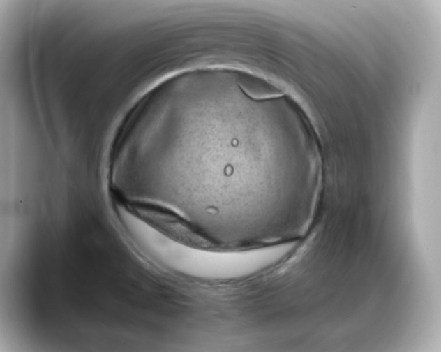 X0000088441525200706051239