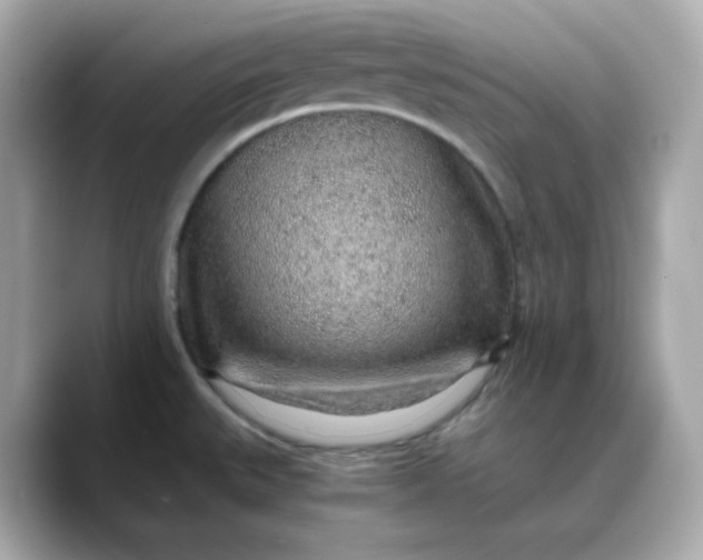 X0000088441527200706051239