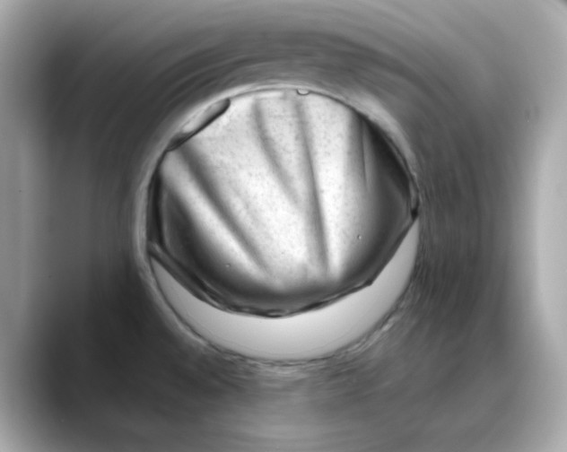 X0000088441528200706051239