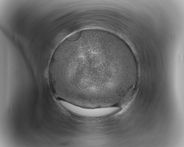 X0000088441529200706051239