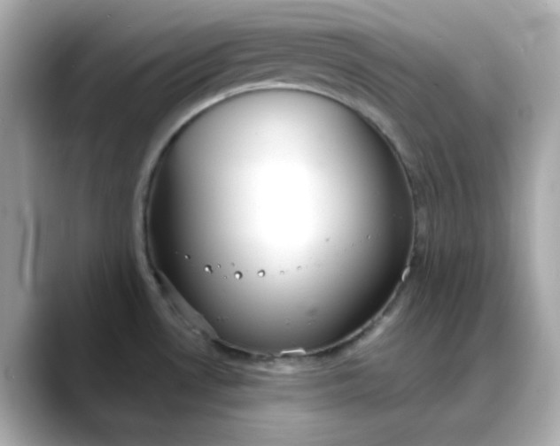 X0000088441530200706051239