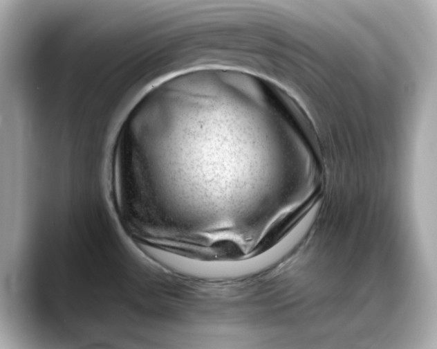 X0000088441531200706051239