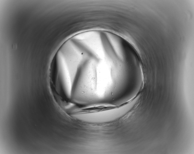 X0000088441532200706051239