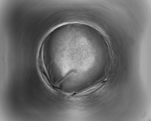 X0000088441536200706051239