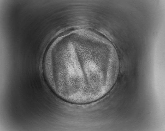 X0000088440002200706121517