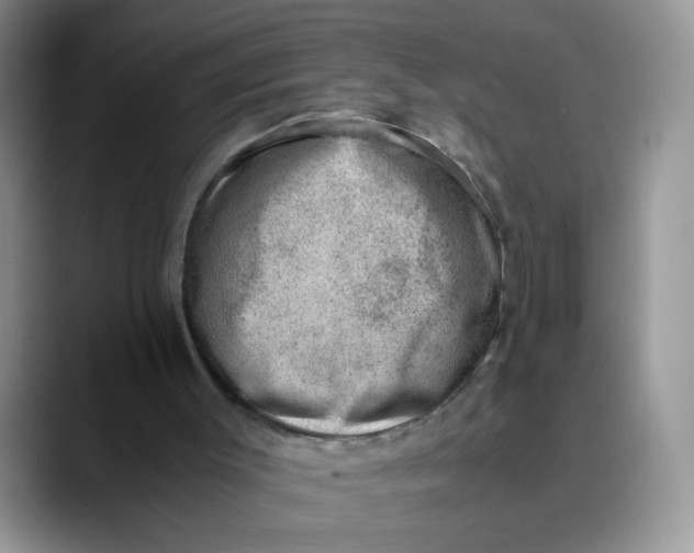X0000088440003200706121517