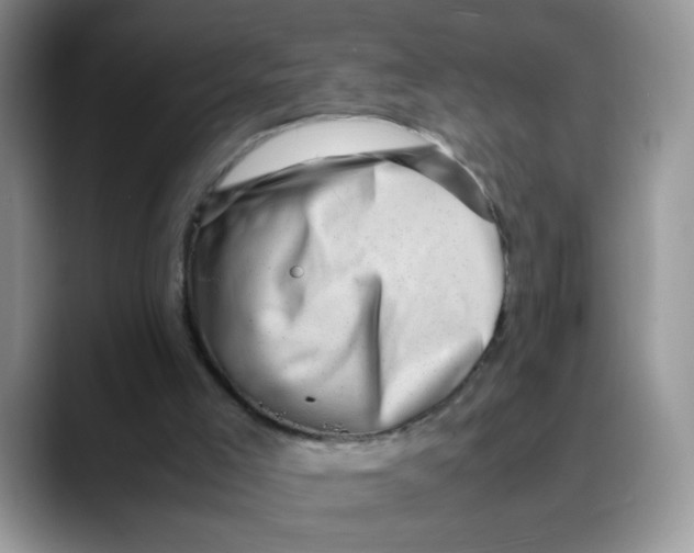 X0000088440005200706121517