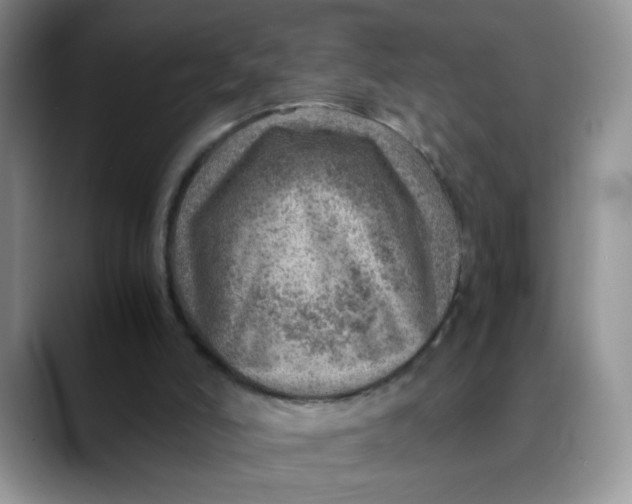 X0000088440006200706121517