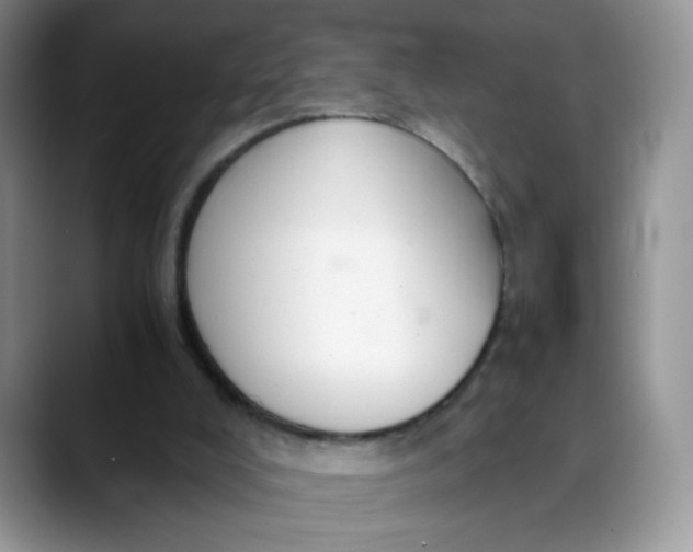 X0000088440008200706121517