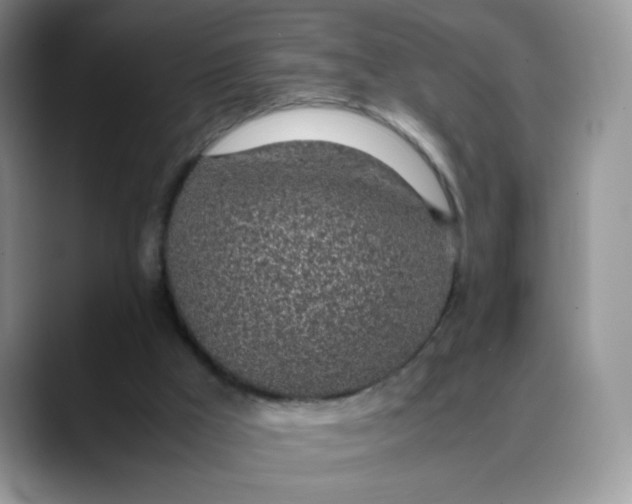 X0000088440009200706121517