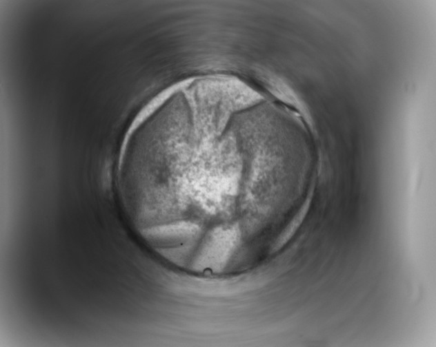X0000088440010200706121517