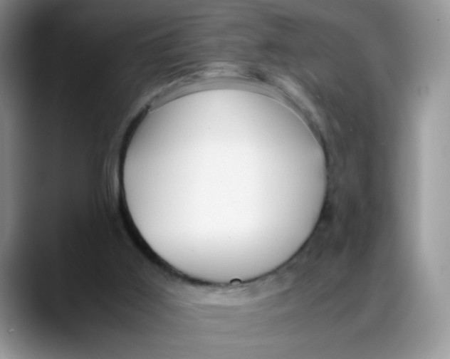 X0000088440011200706121517