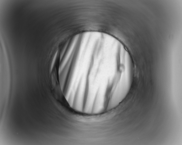 X0000088440013200706121517