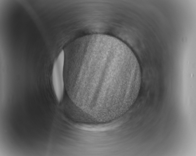 X0000088440017200706121517