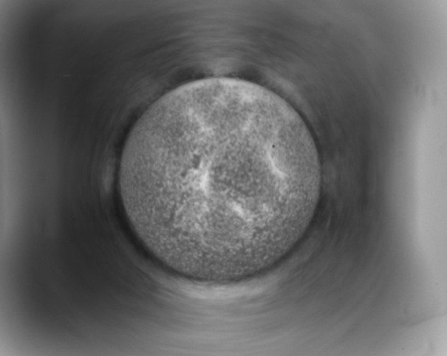 X0000088440018200706121517