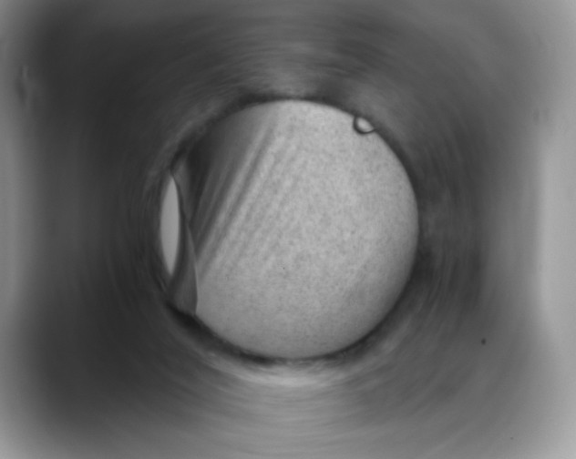 X0000088440020200706121517