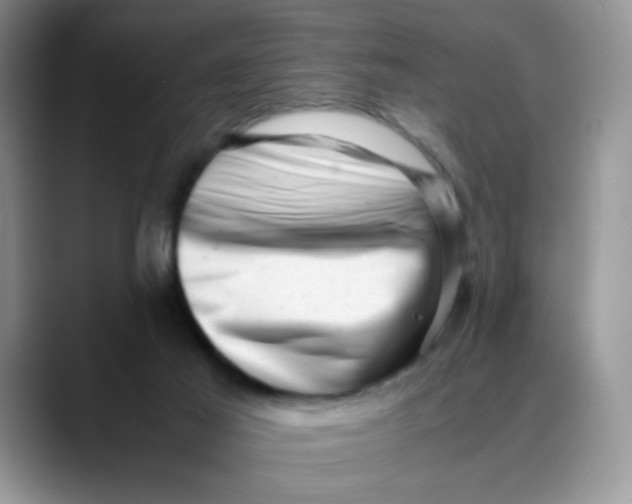X0000088440021200706121517