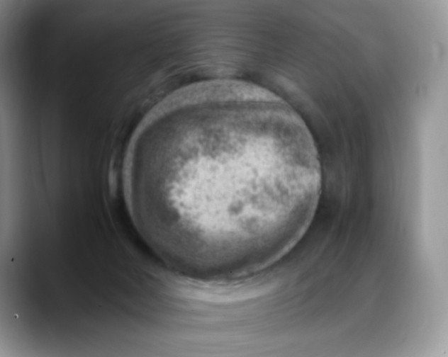 X0000088440026200706121517