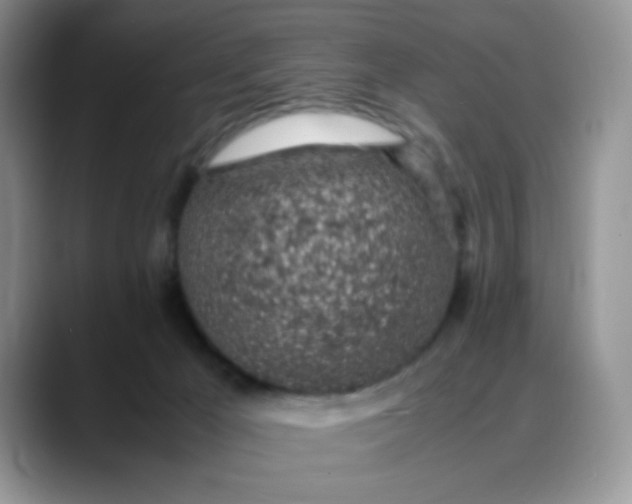 X0000088440029200706121517