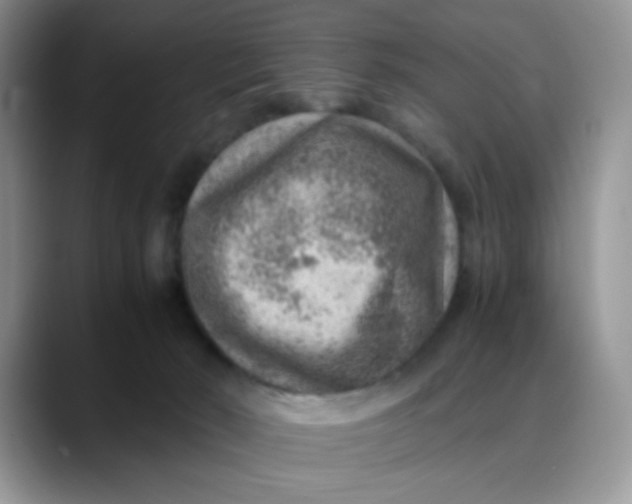 X0000088440030200706121517