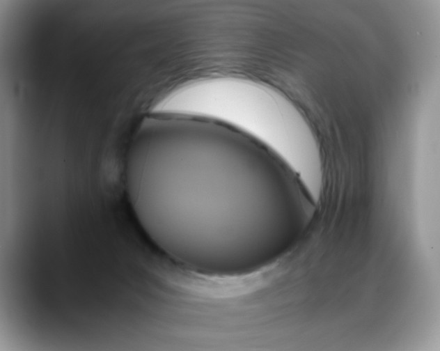 X0000088440031200706121517